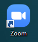 Zoom Icon